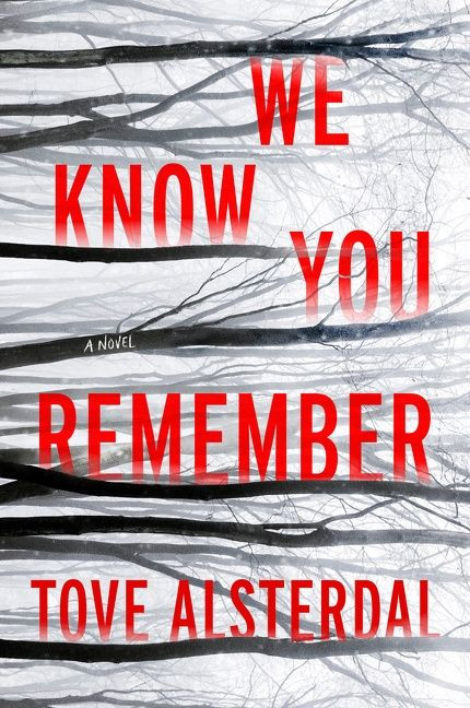 We Know You Remember: A Novel book cover by Tove Alsterdal