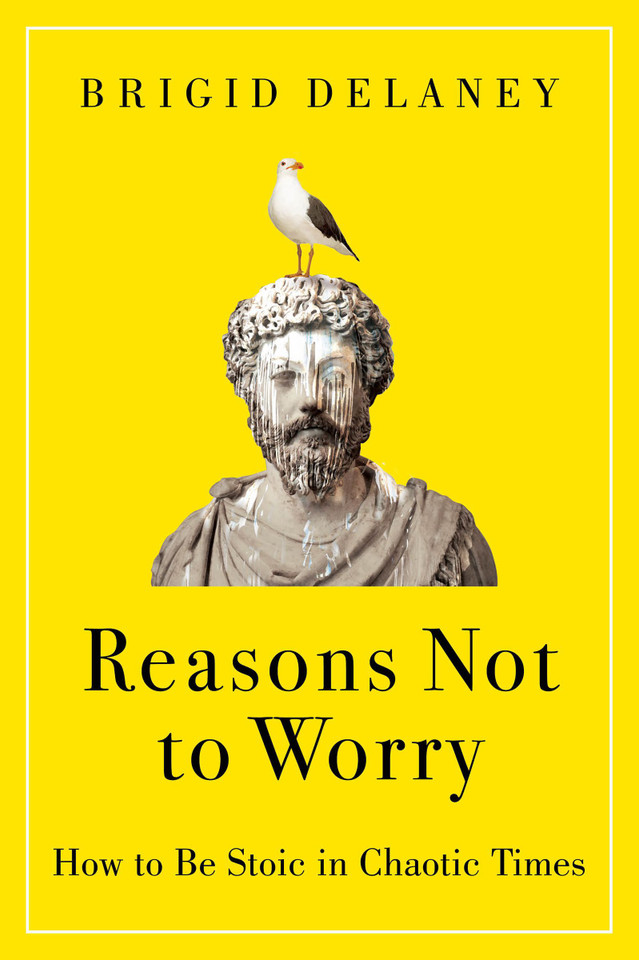 Reasons Not to Worry: How to Be Stoic in Chaotic Times book cover by Brigid Delaney