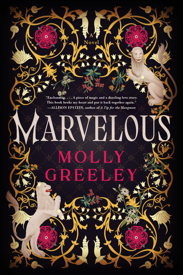 Marvelous: A Novel of Wonder and Romance in the French Royal Court book cover by Molly Greeley