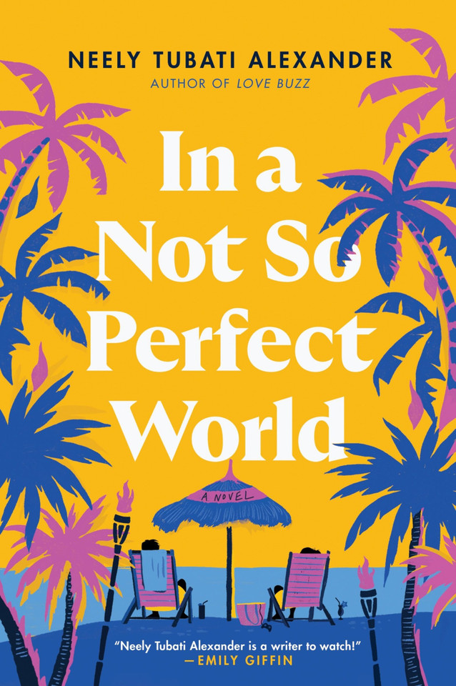In a Not So Perfect World: A Novel book cover by Neely Tubati Alexander