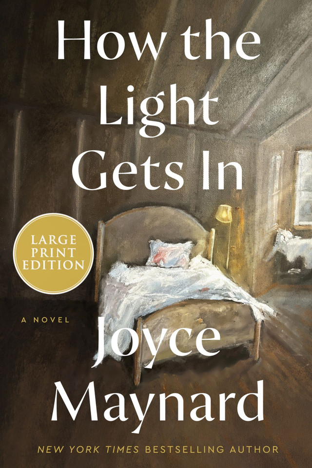 How the Light Gets In: A Novel book cover by Joyce Maynard