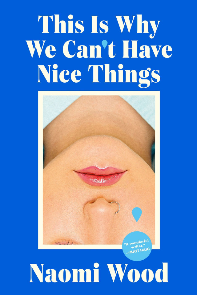 This Is Why We Can’t Have Nice Things book cover by Naomi Wood