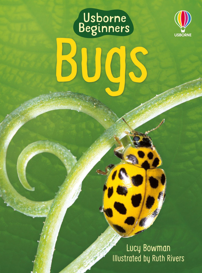 Bugs (Usborne Beginners) (Beginners) book cover by Lucy Bowman