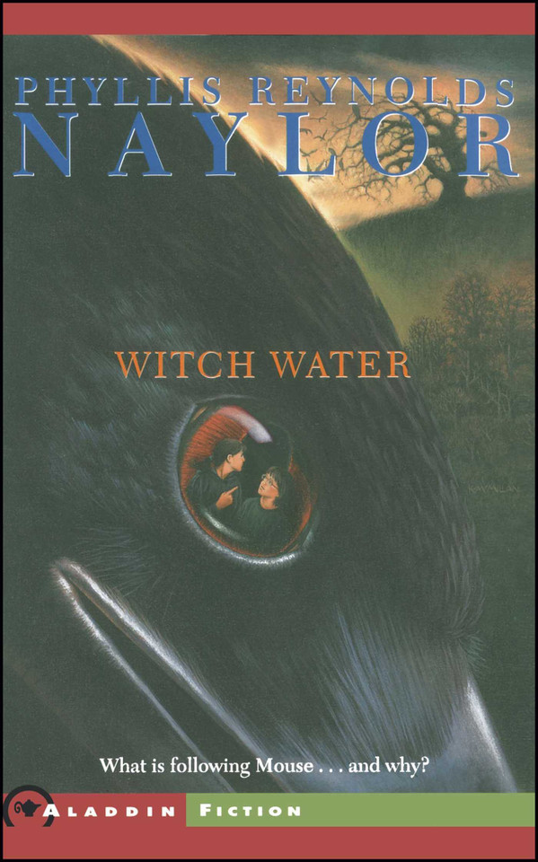 Witch Water book cover by Phyllis Reynolds Naylor