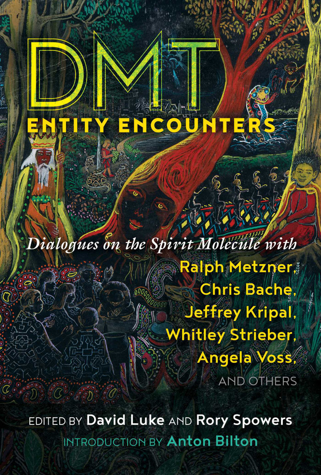 DMT Entity Encounters: Dialogues on the Spirit Molecule with Ralph Metzner, Chris Bache, Jeffrey Kripal, Whitley Strieber, Angela Voss, and Others book cover by 