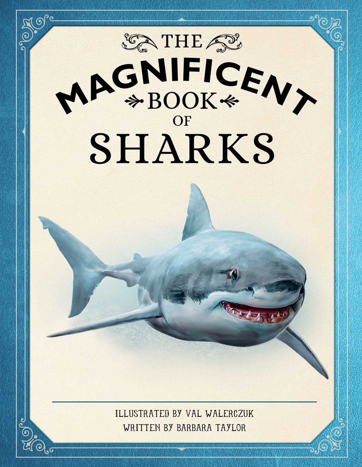 The Magnificent Book of Sharks (The Magnificent Book of) book cover by Barbara Taylor, Weldon Owen