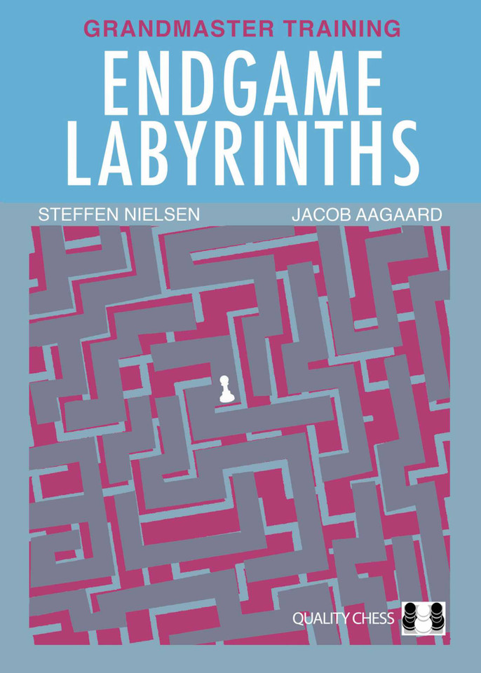 Endgame Labyrinths: Grandmaster Training book cover by Steffen Nielsen, Jacob Aagaard