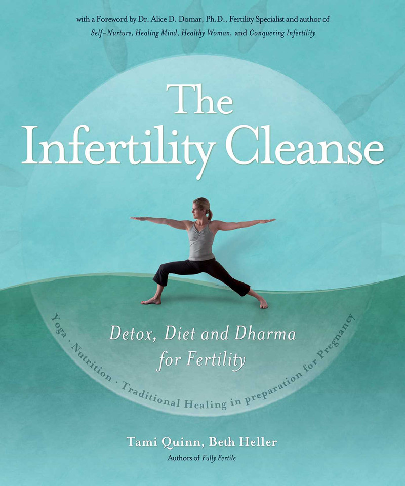 The Infertility Cleanse: Detox, Diet and Dharma for Fertility book cover by Tami Quinn, Beth Heller