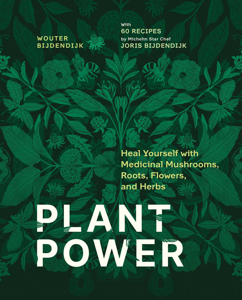 Plant Power: Heal Yourself with Medicinal Mushrooms, Roots, Flowers, and Herbs book cover by Wouter Bijdendijk