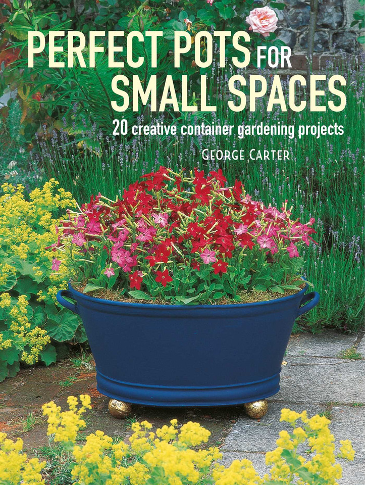 Perfect Pots for Small Spaces: 20 creative container gardening projects book cover by George Carter