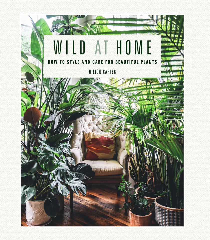 Wild at Home: How to style and care for beautiful plants book cover by Hilton Carter