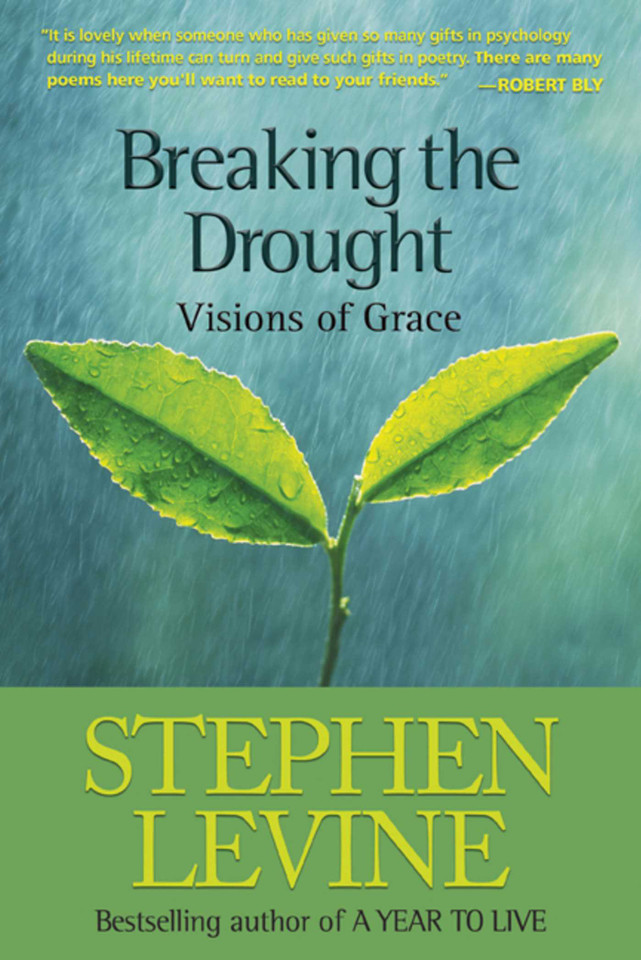 Breaking the Drought: Visions of Grace book cover by Stephen Levine