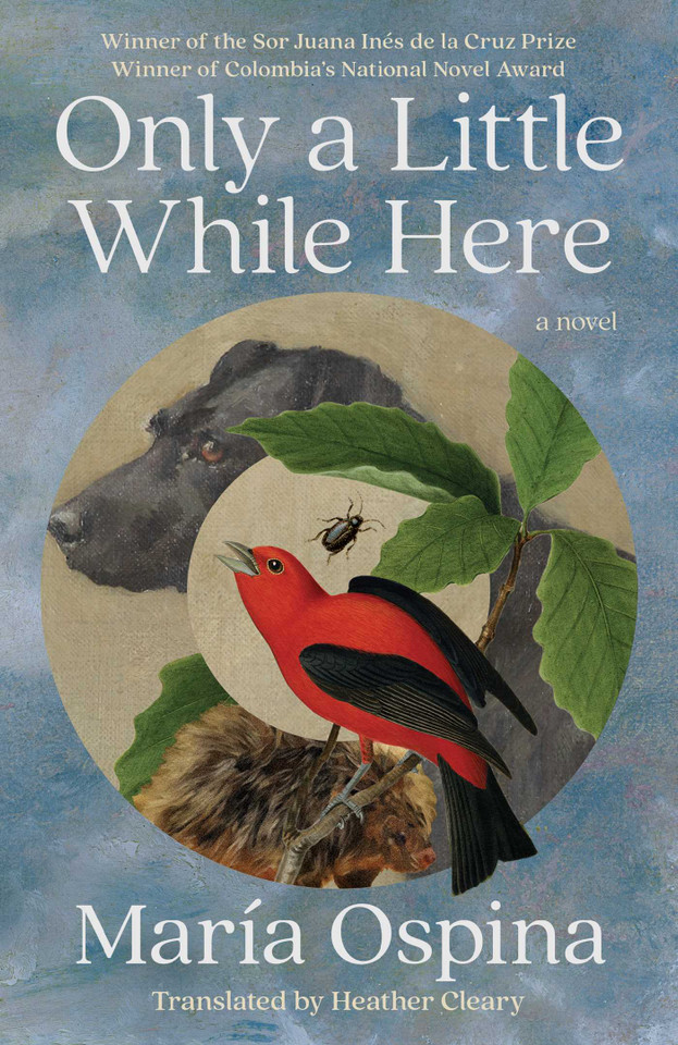 Only a Little While Here: A Novel book cover by María Ospina