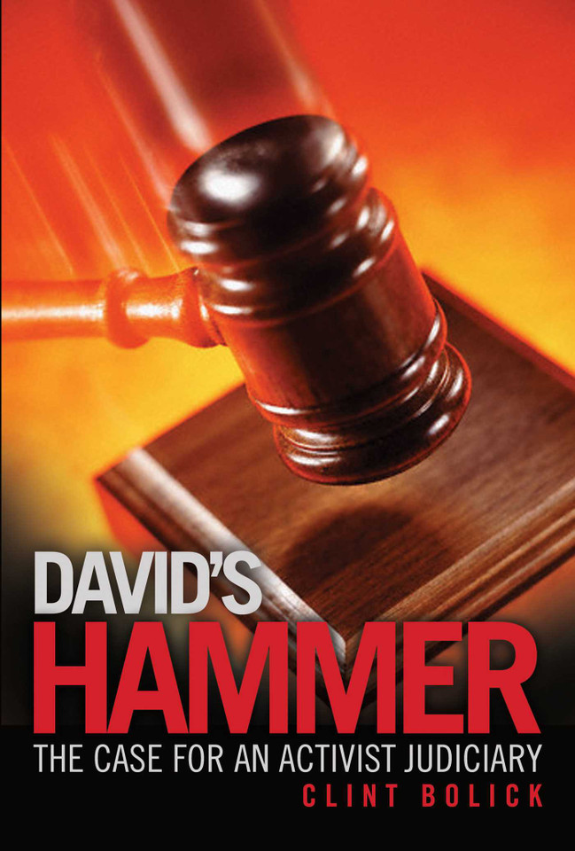 David's Hammer: The Case for an Activist Judiciary book cover by Clint Bolick