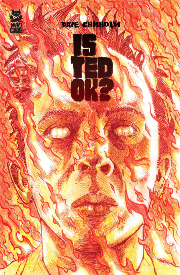 Is Ted OK? (Is Ted OK?) book cover by Dave Chisholm