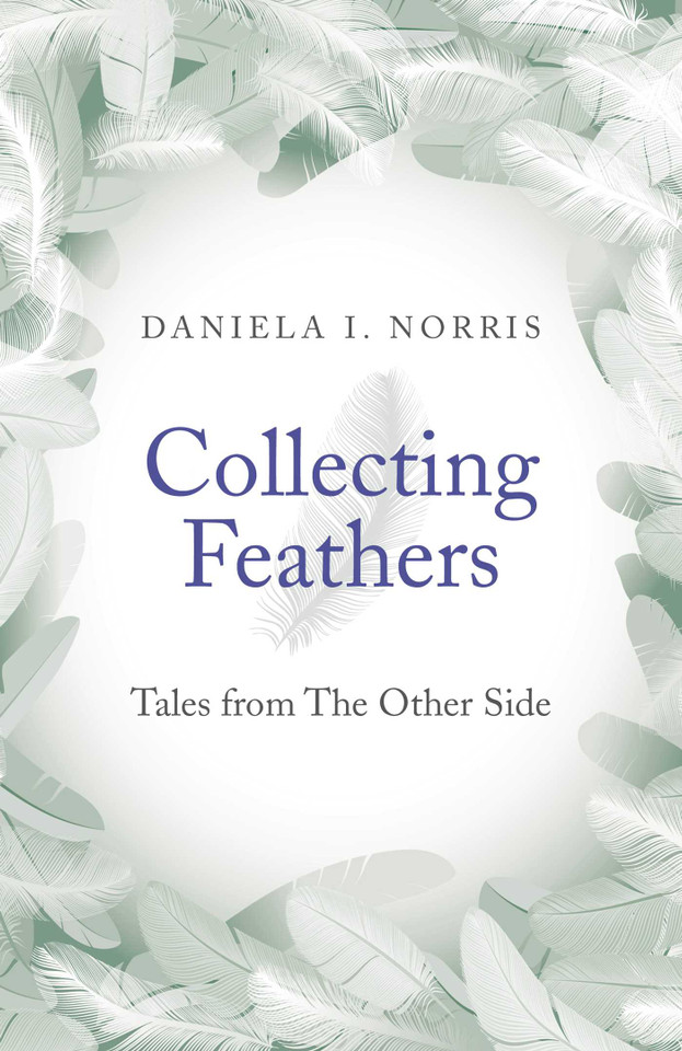 Collecting Feathers: Tales From The Other Side book cover by Daniela I. Norris