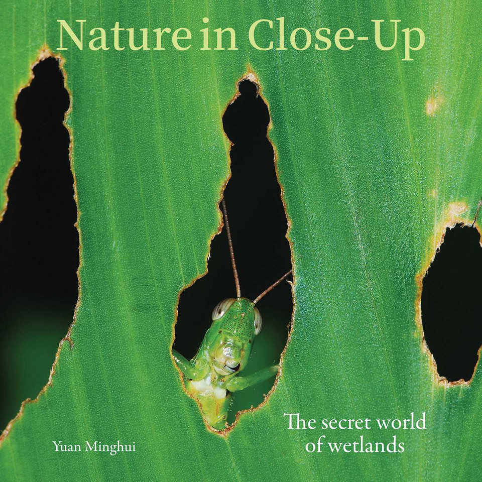 Nature in Close Up book cover by 
