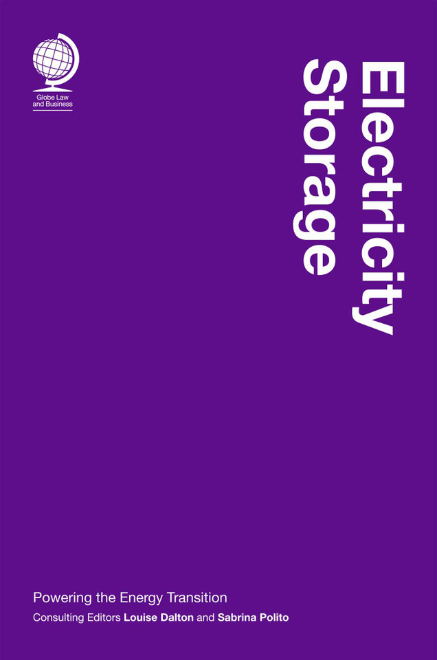 Electricity Storage: Powering the Energy Transition book cover by 