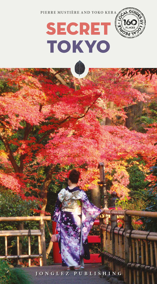 SECRET TOKYO ('Secret' guides) book cover by Pierre  Mystière