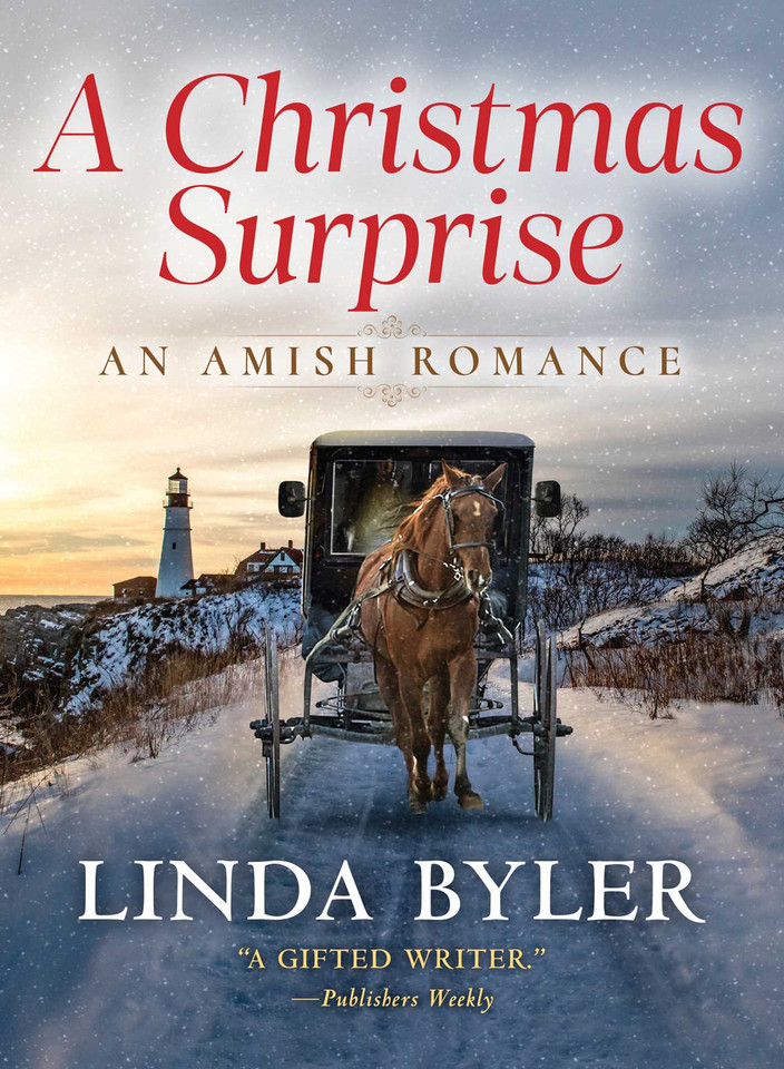 A Christmas Surprise: An Amish Romance book cover by Linda Byler