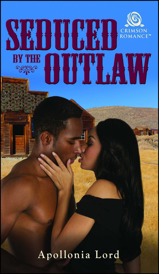 Seduced by the Outlaw book cover by Apollonia Lord