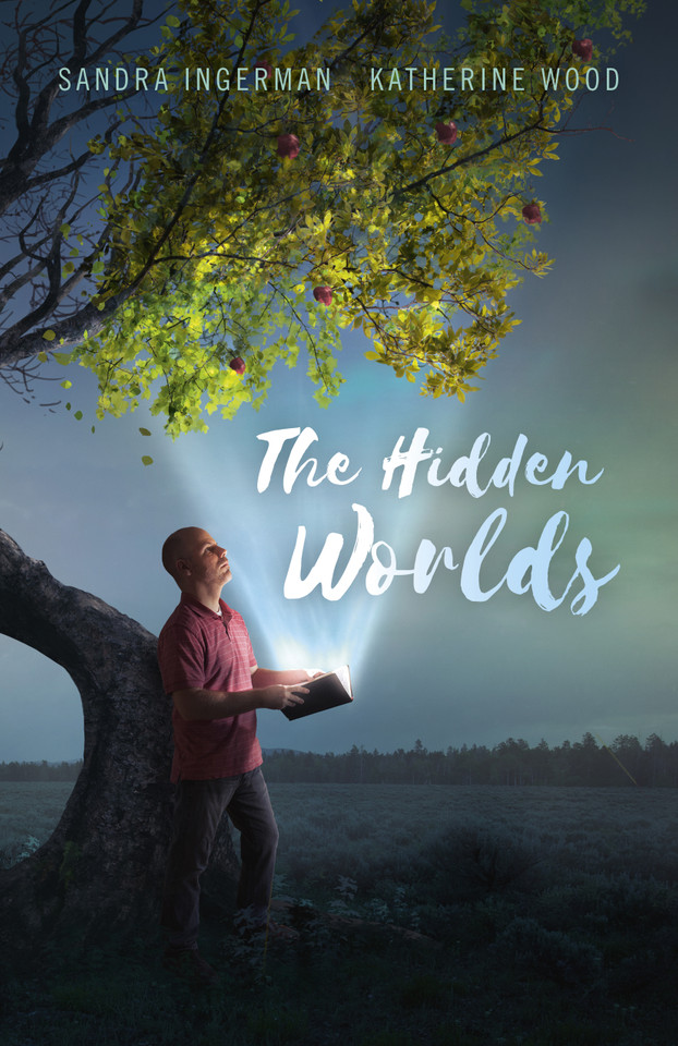 The Hidden Worlds book cover by Sandra Ingerman, Katherine Wood