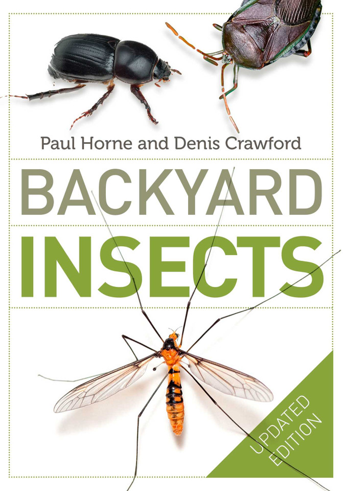 Backyard Insects Updated Edition book cover by Paul Horne, Denis Crawford