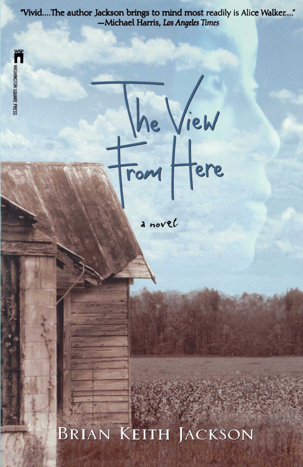The View From Here book cover by Brian Keith Jackson