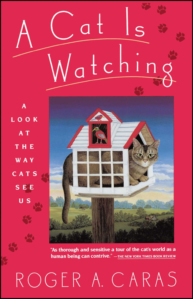 Cat is Watching book cover by Roger A. Caras