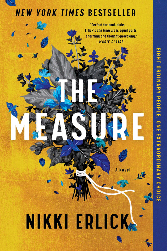 The Measure: A Novel book cover by Nikki Erlick
