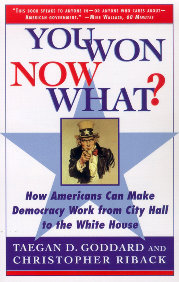 You Won--Now What?: How Americans Can Make Democracy Work from City Hall to the White House book cover by Christopher Riback, Taegan D. Goddard