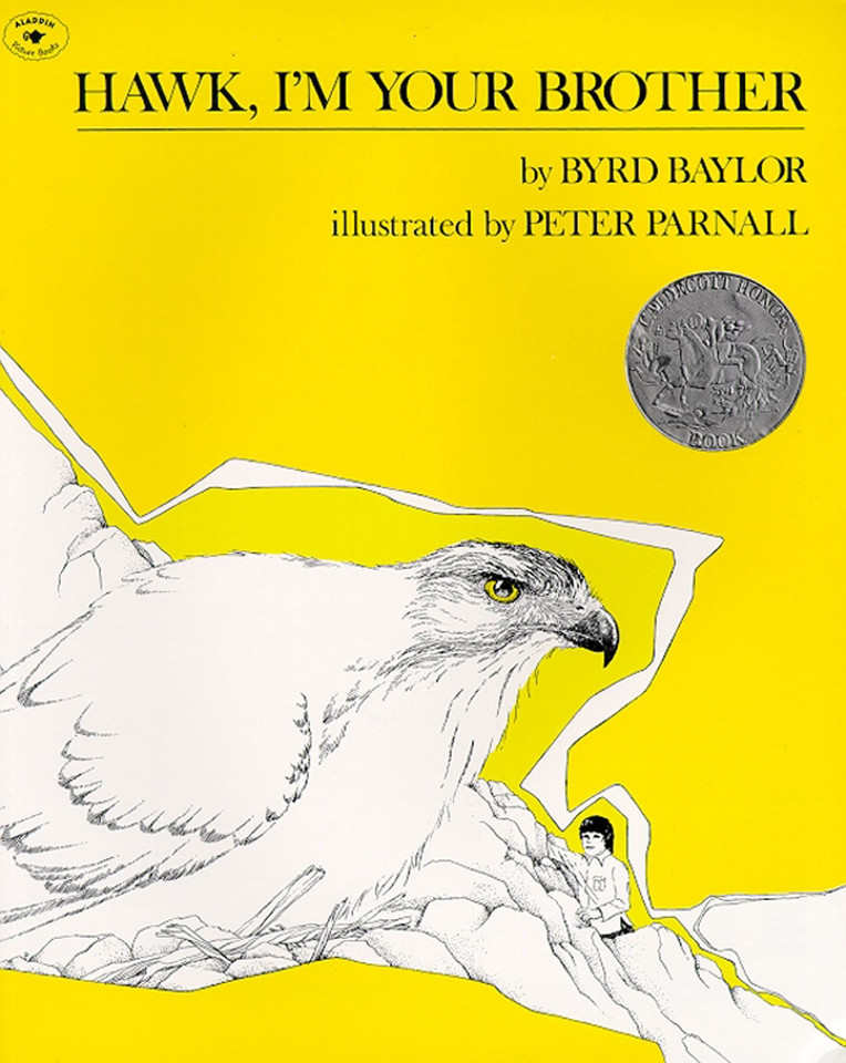 Hawk, I'm Your Brother book cover by Byrd Baylor