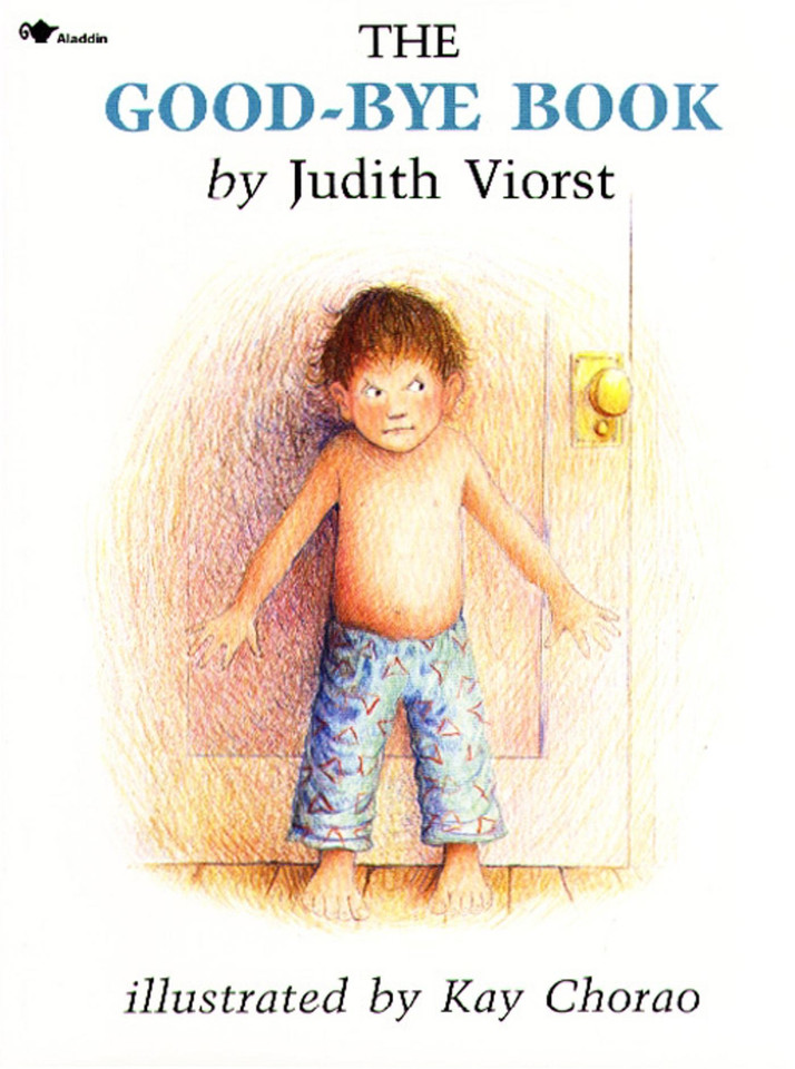 The Good-bye Book book cover by Judith Viorst
