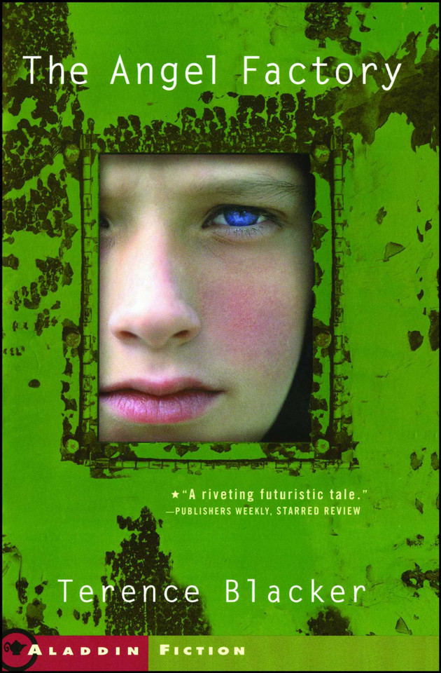 The Angel Factory book cover by Terence Blacker