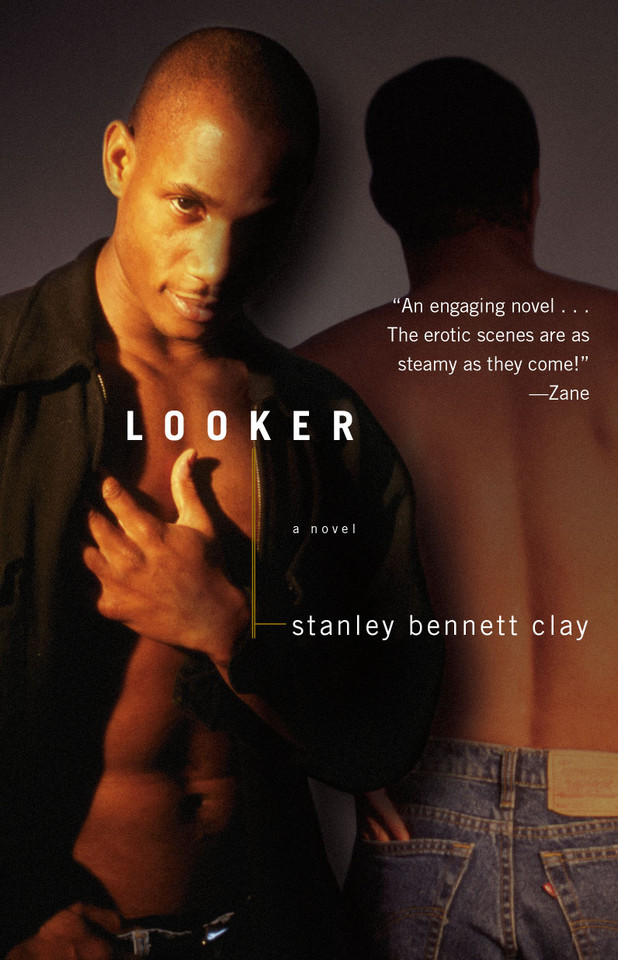 Looker: A Novel book cover by Stanley Bennett Clay