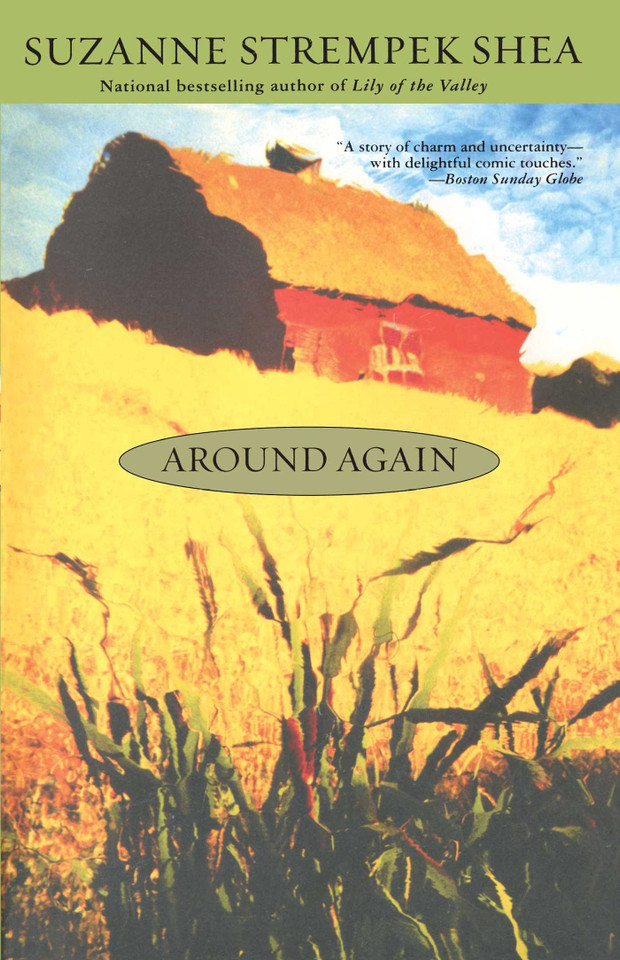 Around Again book cover by Suzanne Strempek Shea