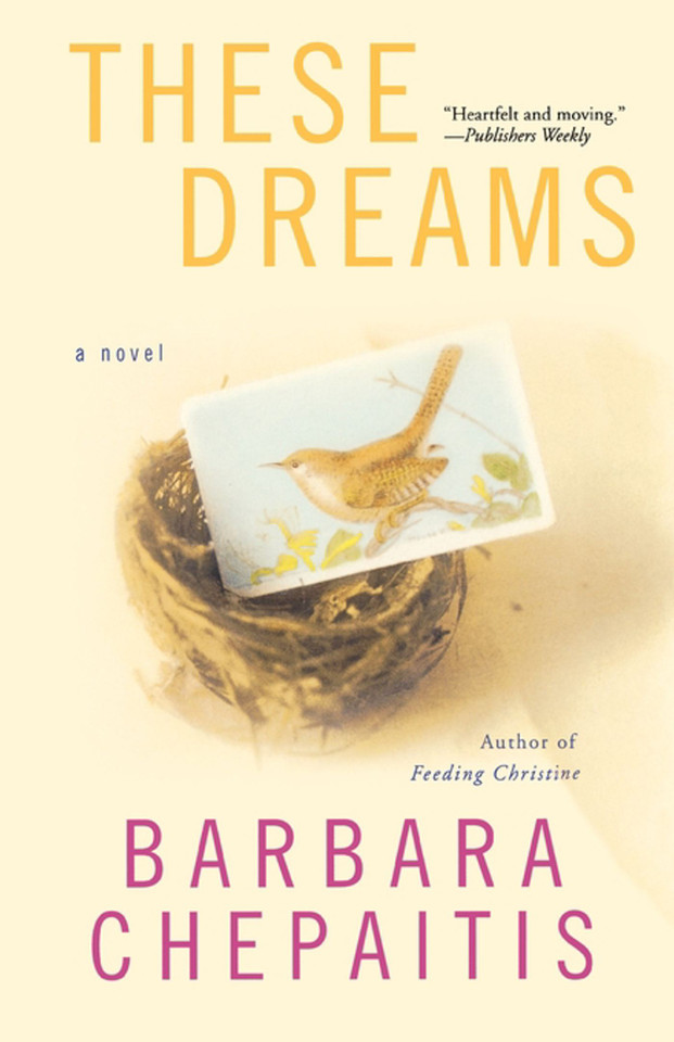 These Dreams: A Novel book cover by Barbara Chepaitis