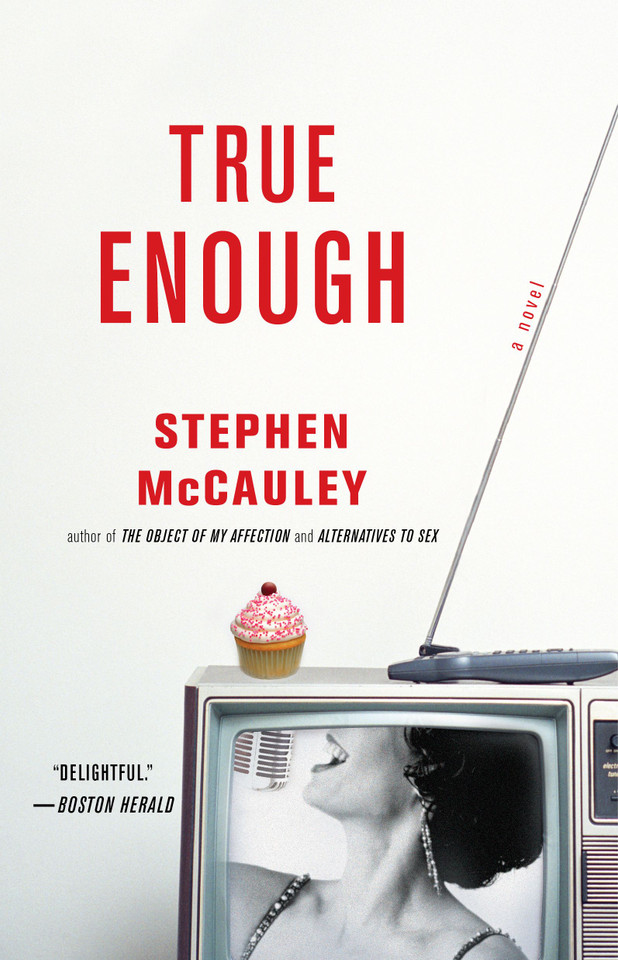 True Enough book cover by Stephen McCauley