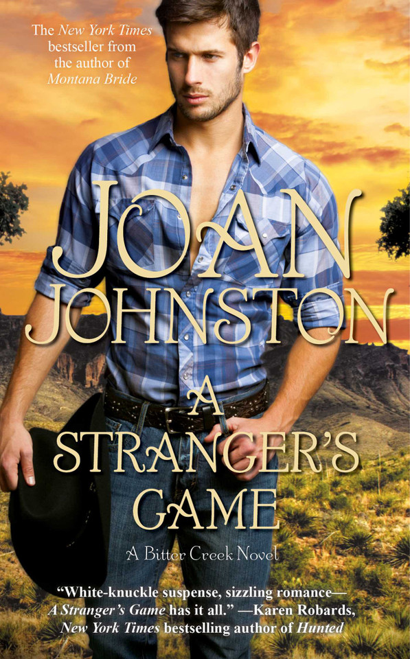 A Stranger's Game (A Bitter Creek Novel) book cover by Joan Johnston