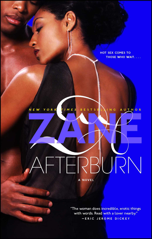 Afterburn: A Novel book cover by Zane