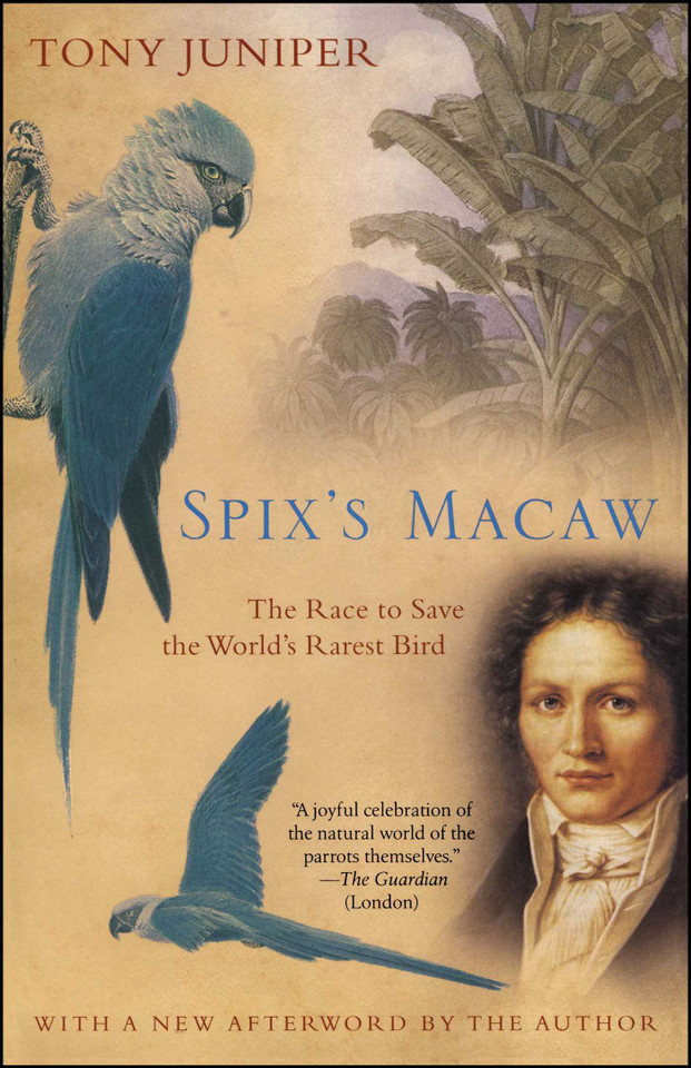 Spix's Macaw: The Race to Save the World's Rarest Bird book cover by Tony Juniper