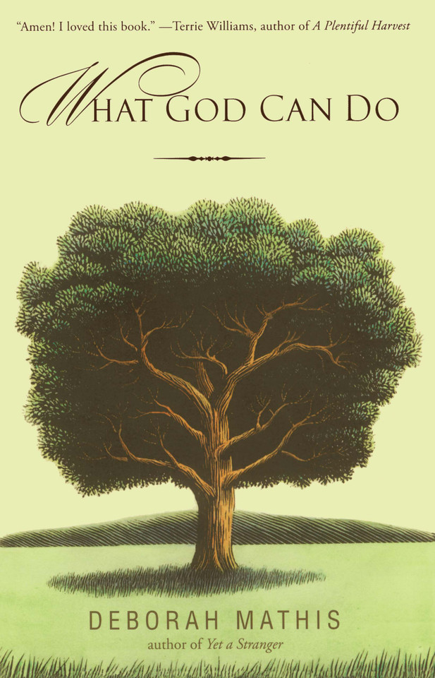 What God Can Do: How Faith Changes Lives for the Better book cover by Deborah Mathis