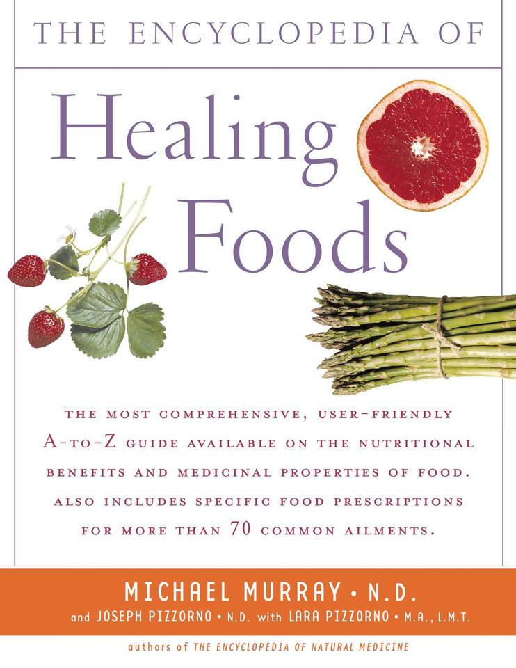 Encyclopedia of Healing Foods book cover by Michael T. Murray, Joseph Pizzorno
