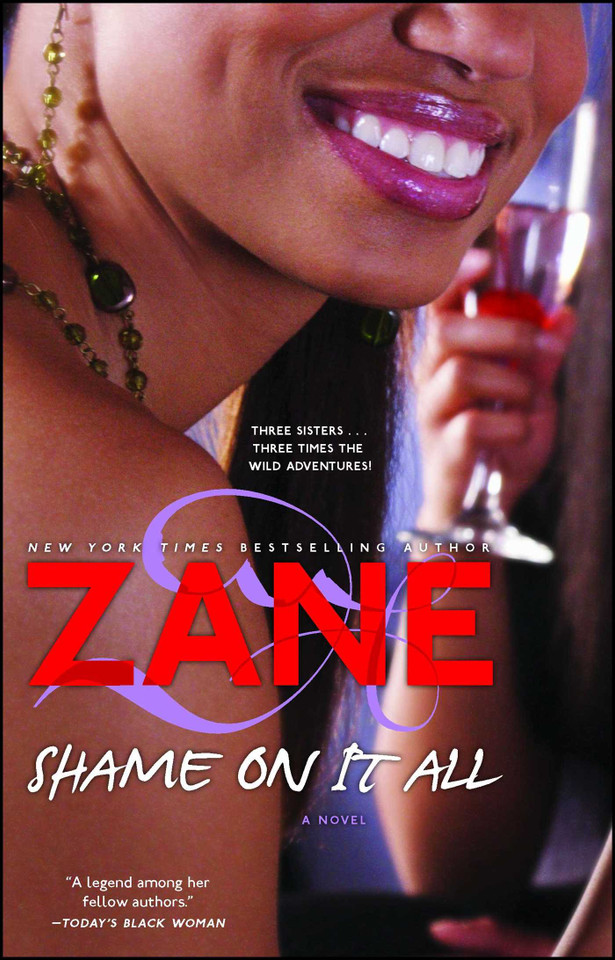 Shame on It All: A Novel book cover by Zane