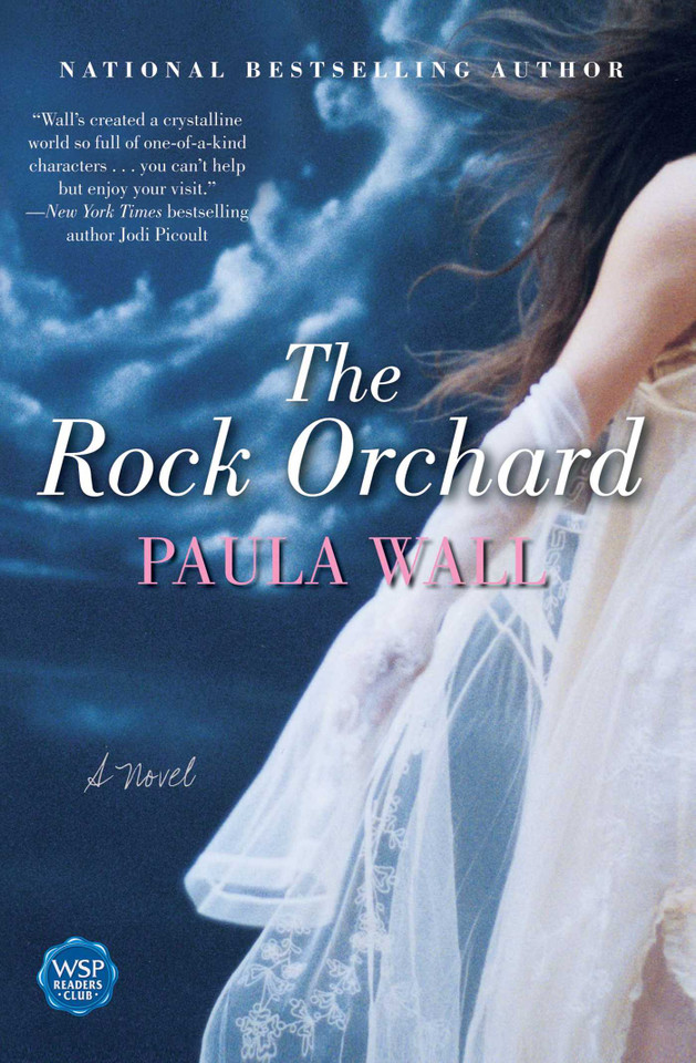 The Rock Orchard: A Novel book cover by Paula Wall