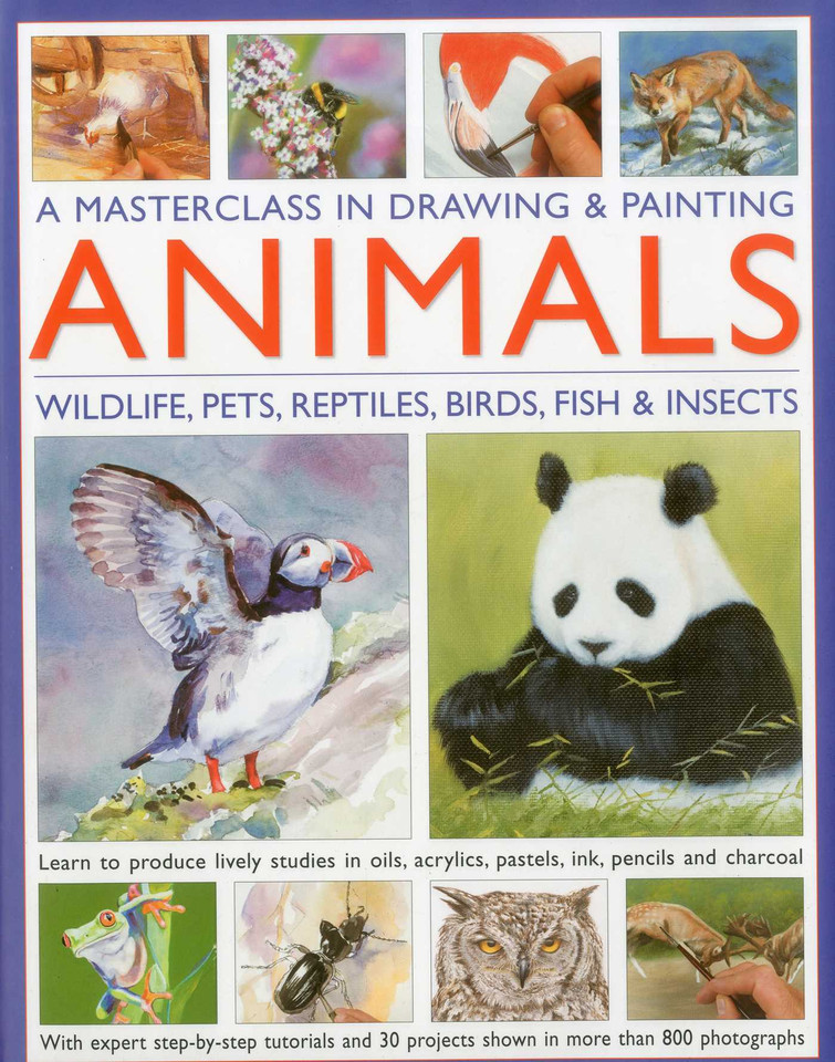 A Masterclass in Drawing and Painting Animals: Wildlife, pets, reptiles, birds, fish and insects book cover by Jonathan Truss, Sarah Hoggett