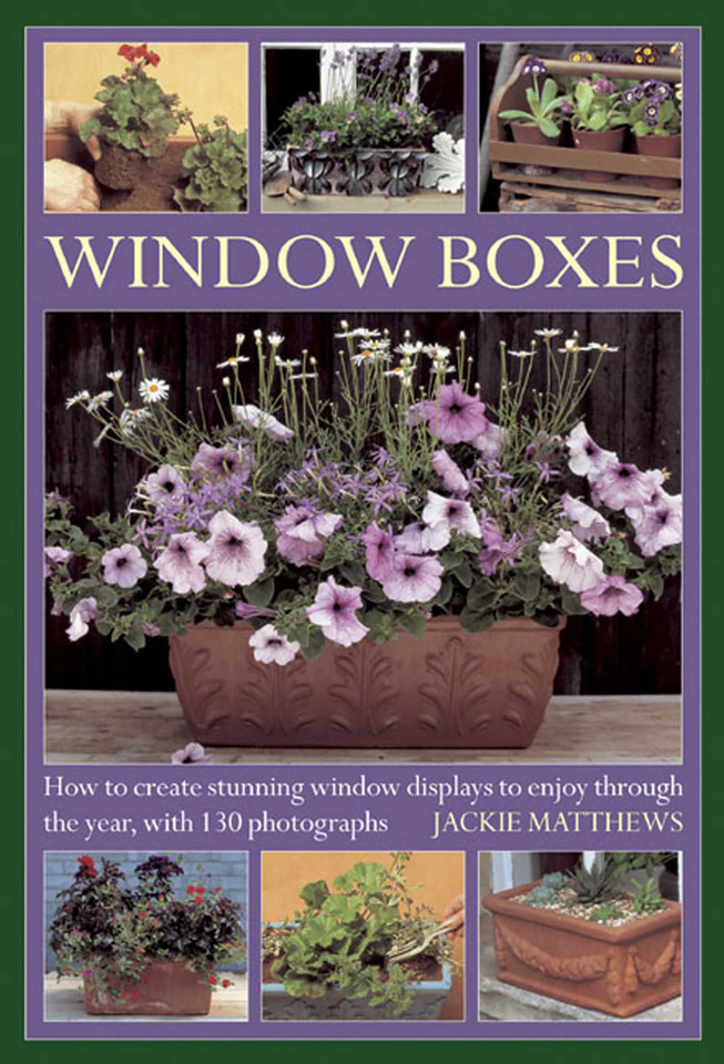 Wndow Boxes: How to Create Stunning Window Displays to Enjoy Throughout the Year, with 130 Photographs book cover by Jackie Matthews