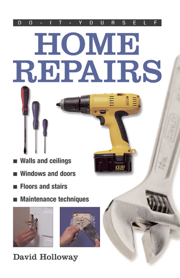 Do-It-Yourself: Home Repairs: A Practical Illustrated Guide To the Basic Skills Needed to Tackle Repairs in the Home book cover by David Holloway