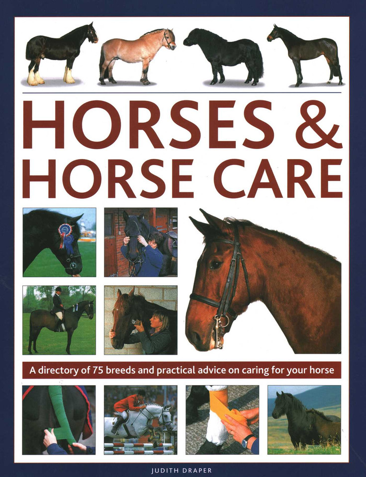 Horses & Horse Care: A Directory of 75 Breeds and Practical Advice on Caring for your Horse book cover by Sarah Muir, Debby Sly, Judith Draper