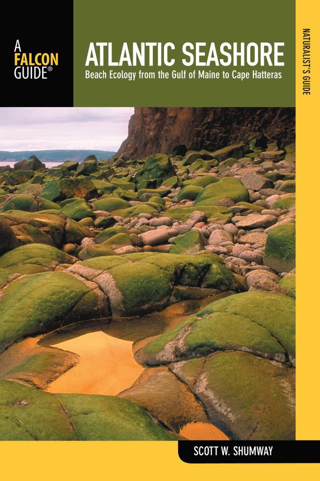 Naturalist's Guide to the Atlantic Seashore (Naturalist's Guide Series) book cover by Scott Shumway